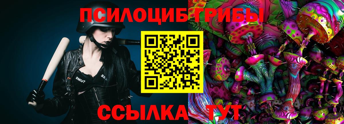 Сарапул  Псилоцибиновые грибы Psilocybe  хочу наркоту  Вход с VPN  Псилоцибиновые грибы Psilocybe 